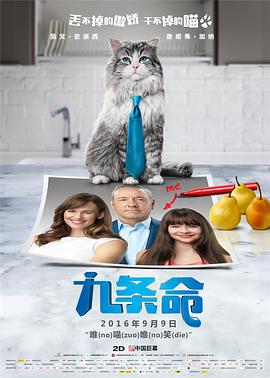 美姐脱衣